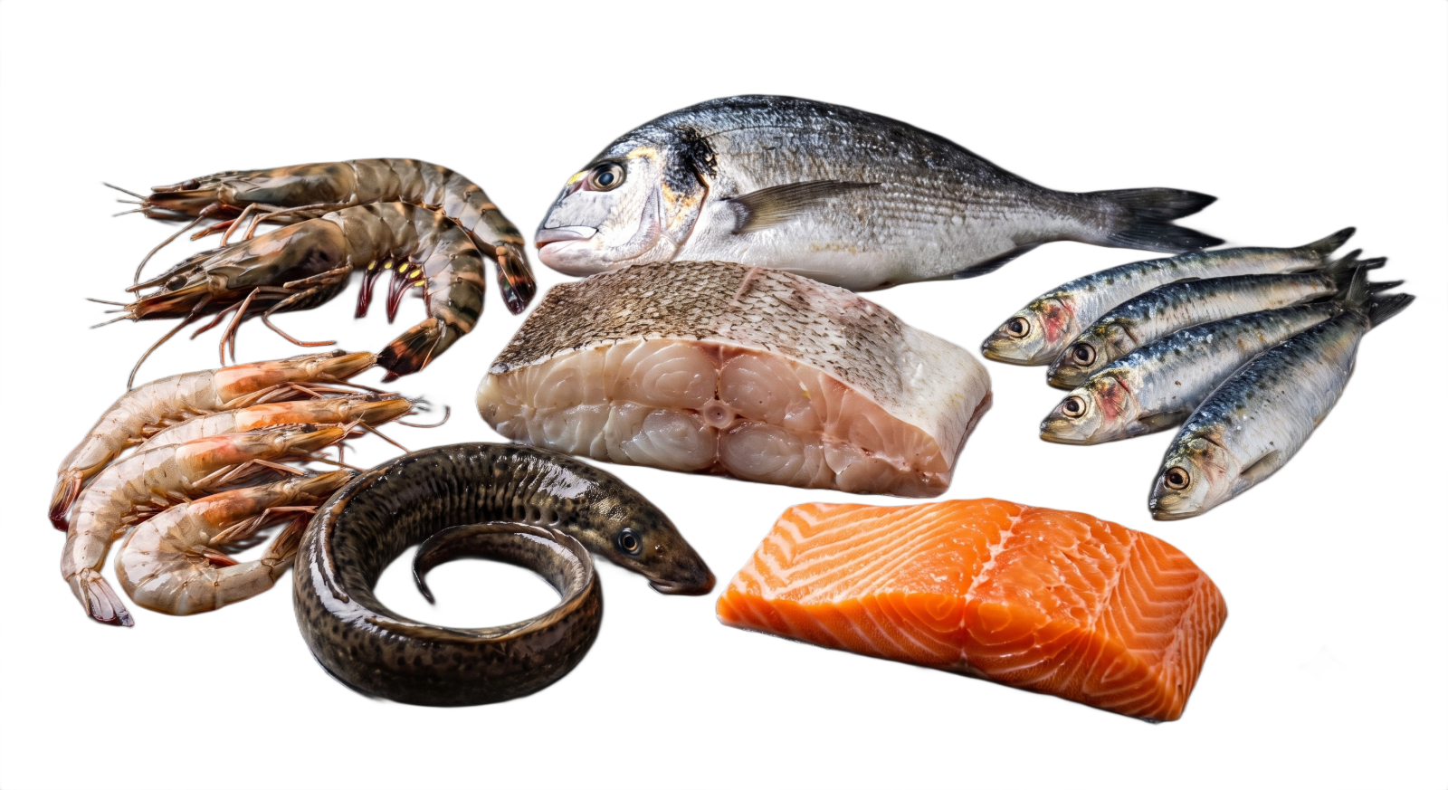 Peixe e marisco frescos